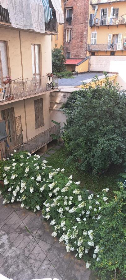 - Il Mio Viaggio A Appartement